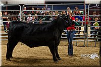 LCF13-2966.jpg