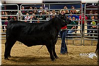 LCF13-2967.jpg