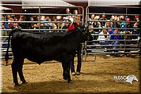 LCF13-2968.jpg
