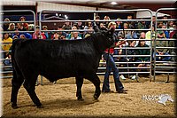 LCF13-2969.jpg