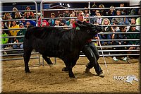 LCF13-2970.jpg