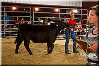 LCF13-2971.jpg