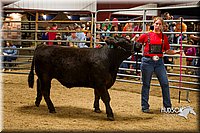 LCF13-2972.jpg