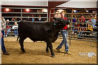 LCF13-2973.jpg