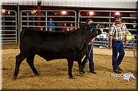 LCF13-2974.jpg