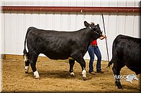 LCF13-2976.jpg
