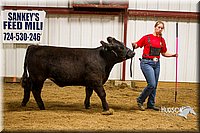 LCF13-2979.jpg