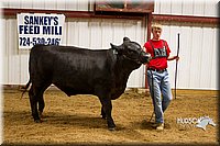 LCF13-2981.jpg