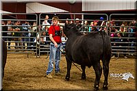 LCF13-2987.jpg