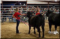 LCF13-2988.jpg