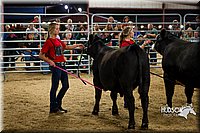 LCF13-2989.jpg
