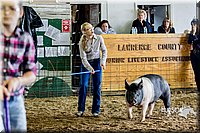LCF2013-1651.jpg