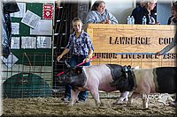 LCF2013-1661.jpg