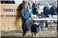 LCF2013-1713.jpg
