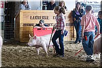 LCF2013-1759.jpg