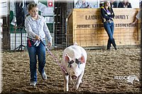 LCF2013-1776.jpg