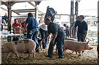 LCF2013-1788.jpg