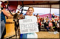LCFAIR14-2625.jpg