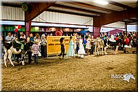 LCFAIR14-2667.jpg