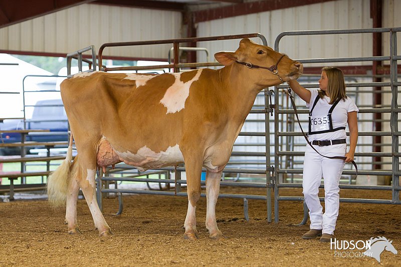LCFAIR14-0656.jpg