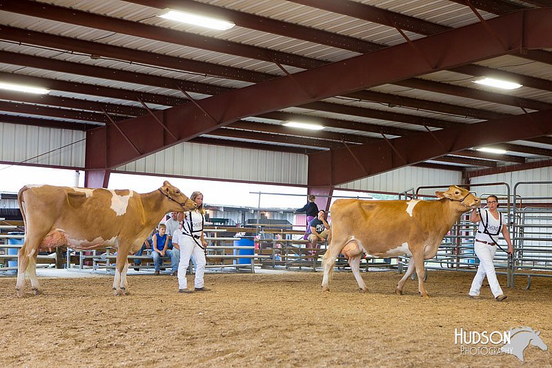 LCFAIR14-0665.jpg