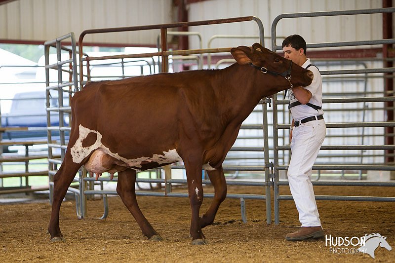LCFAIR14-0682.jpg