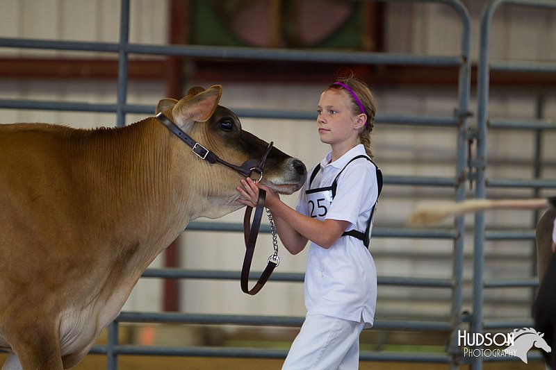 LCFAIR14-0713.jpg