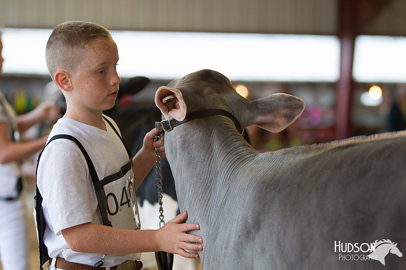LCFAIR14-0729.jpg