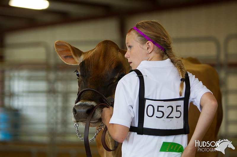 LCFAIR14-0763.jpg