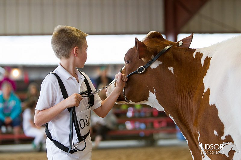 LCFAIR14-0783.jpg