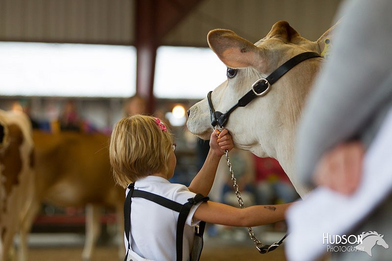 LCFAIR14-0784.jpg