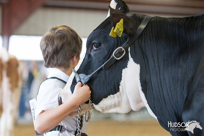 LCFAIR14-0791.jpg