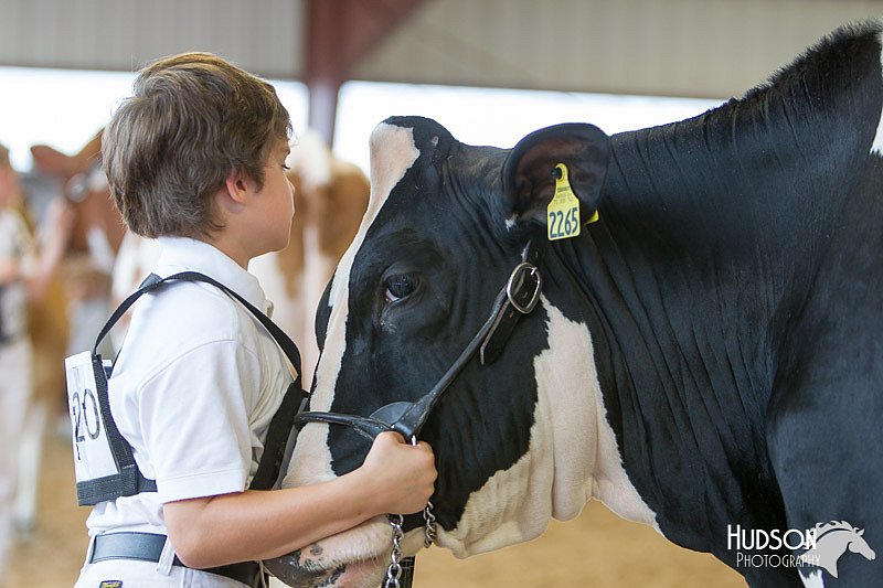 LCFAIR14-0792.jpg