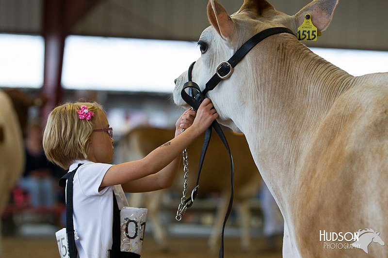 LCFAIR14-0795.jpg