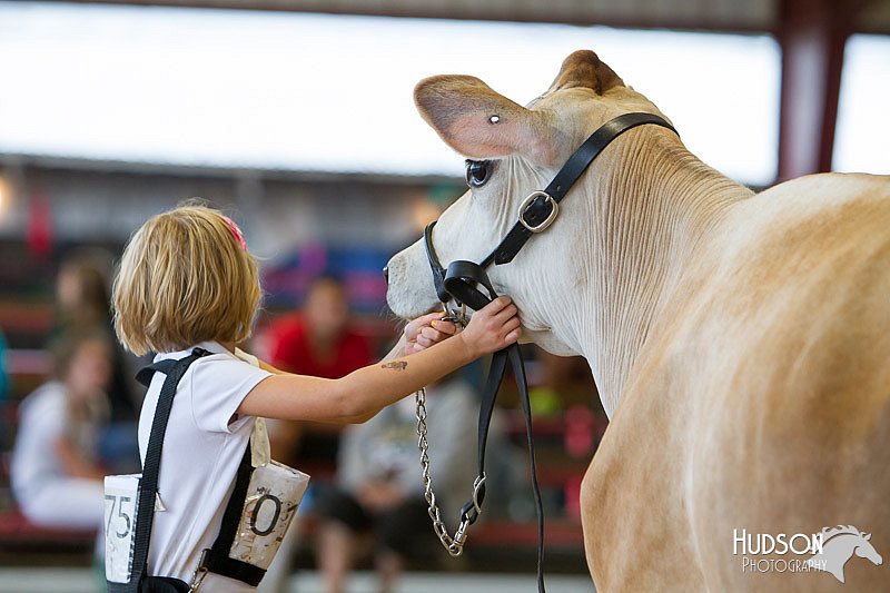 LCFAIR14-0796.jpg