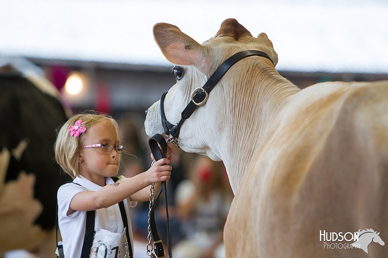 LCFAIR14-0797.jpg