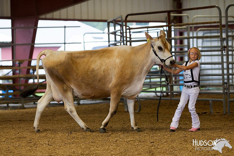 LCFAIR14-0798.jpg