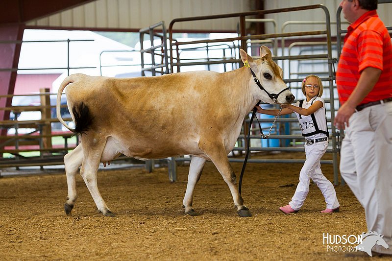 LCFAIR14-0799.jpg