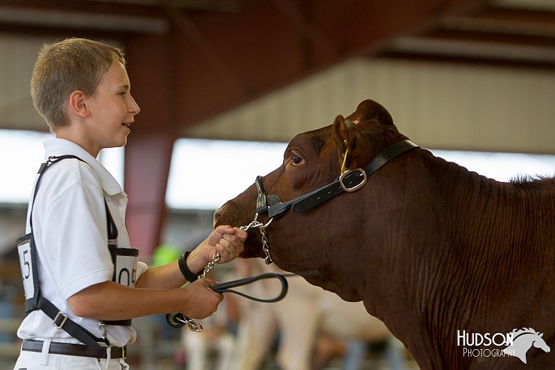 LCFAIR14-0813.jpg