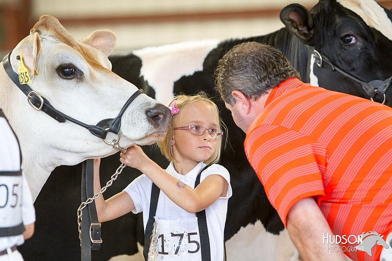 LCFAIR14-0816.jpg