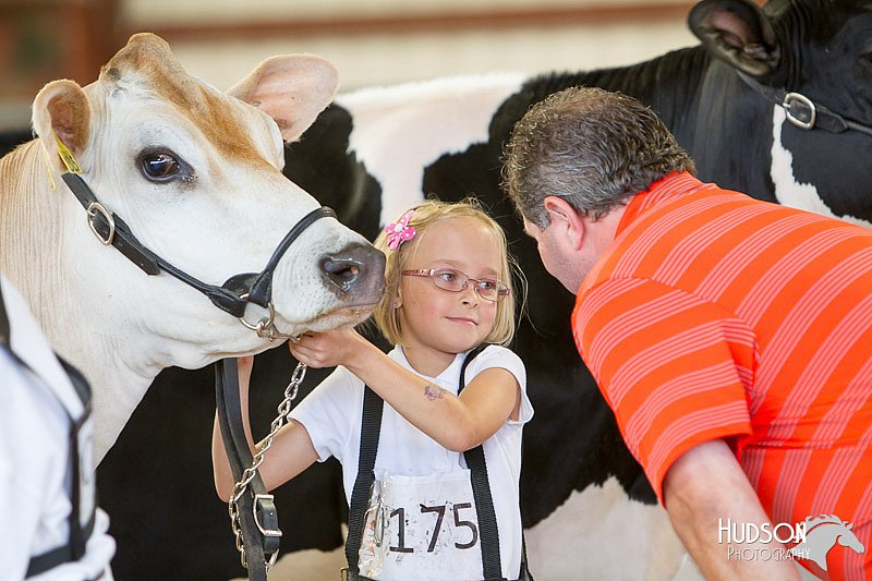 LCFAIR14-0820.jpg
