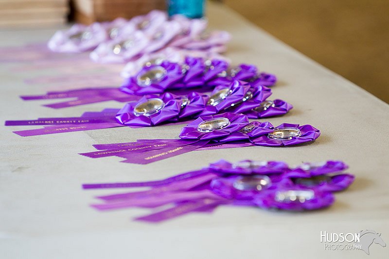 LCFAIR14-0844.jpg