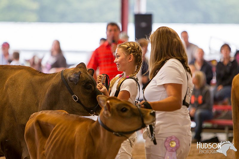 LCFAIR14-0848.jpg