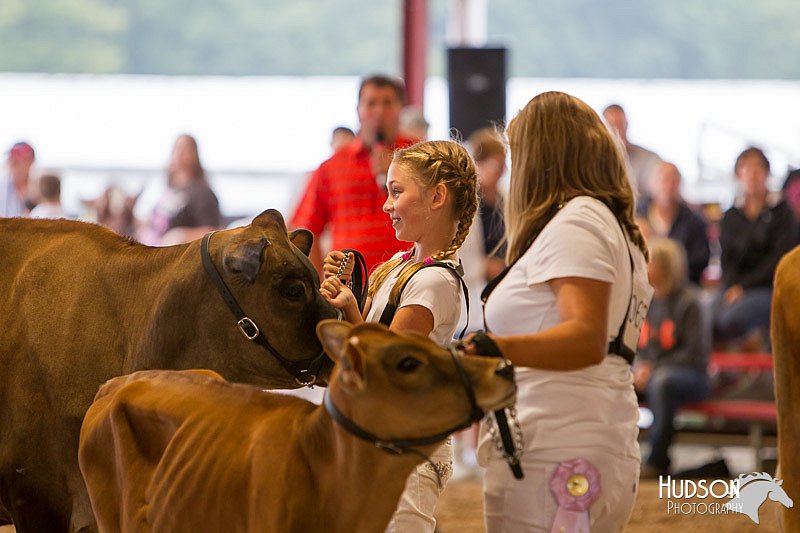LCFAIR14-0849.jpg