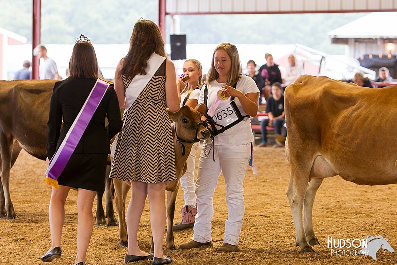 LCFAIR14-0850.jpg