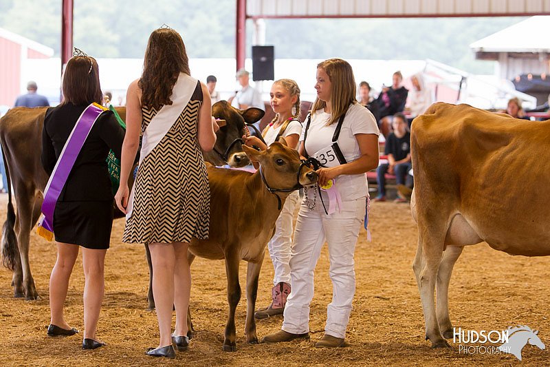 LCFAIR14-0851.jpg