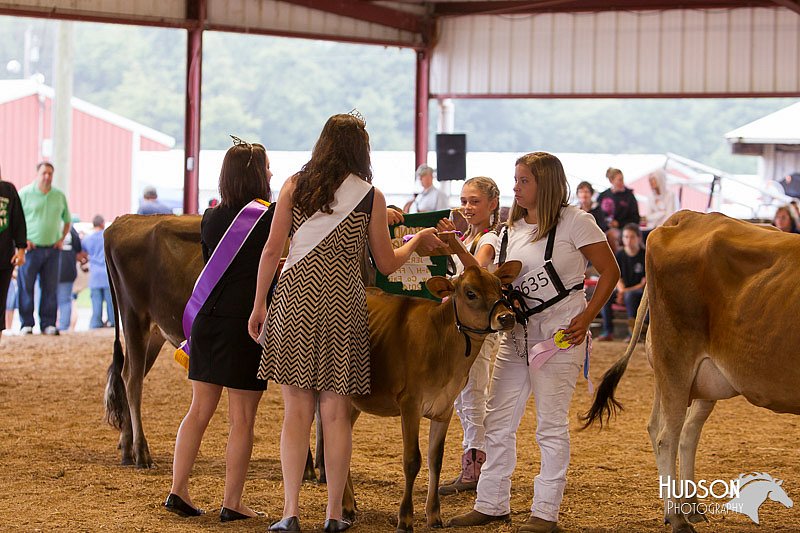 LCFAIR14-0852.jpg