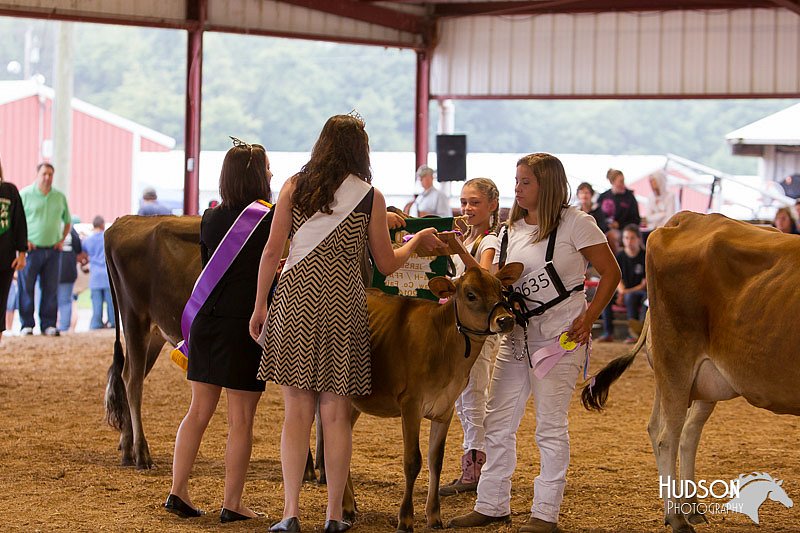 LCFAIR14-0853.jpg