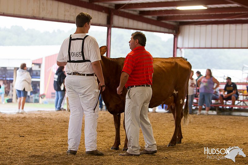 LCFAIR14-0855.jpg