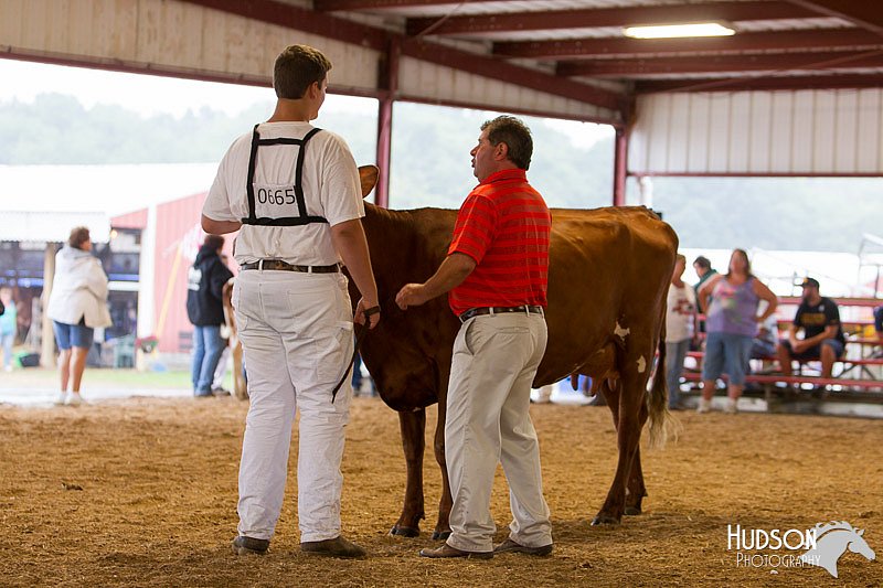 LCFAIR14-0856.jpg